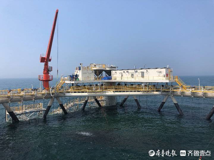 挺進深海，唱響“經海”牧歌！煙臺開啟向海圖強新征程