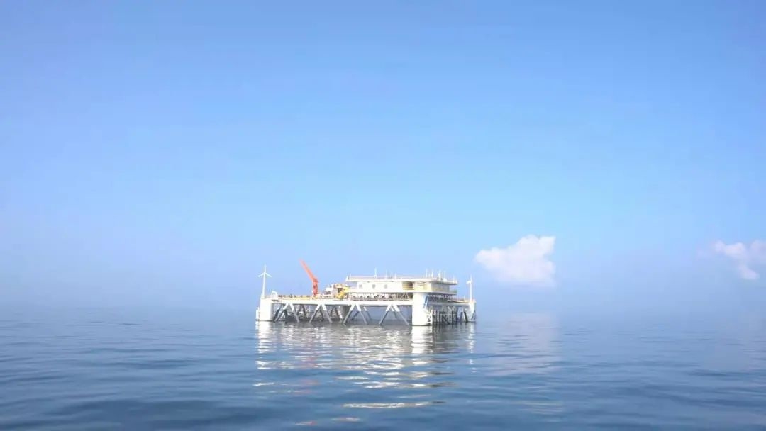 只待冬捕！經海“有魚初長成”
