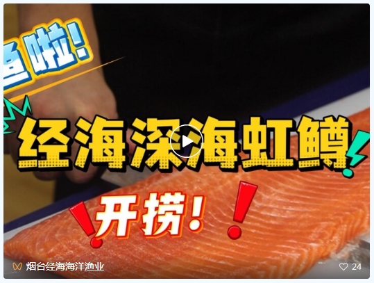 經海深海虹鱒全城開售｜長島南隍城島，煙臺人自家的深海好魚！煙臺五區門店鮮切鮮享！
